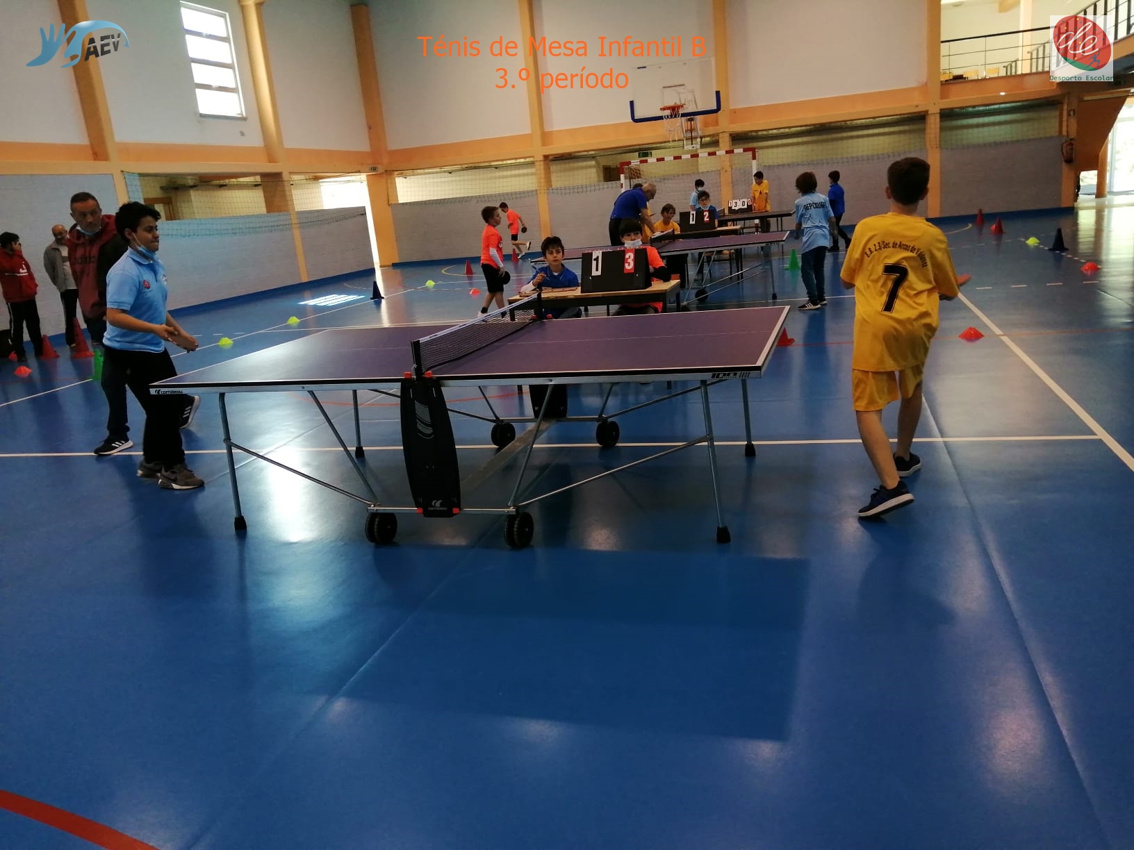 tênis mesa infantil – retração automática pongue – Exercitador tênis mesa  divertido para crianças reflexos e treinamento coordenação óculo-manual